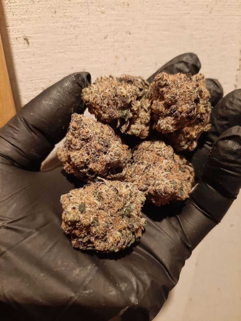 Rainbow Melon, Фасовка: 3, изображение 6